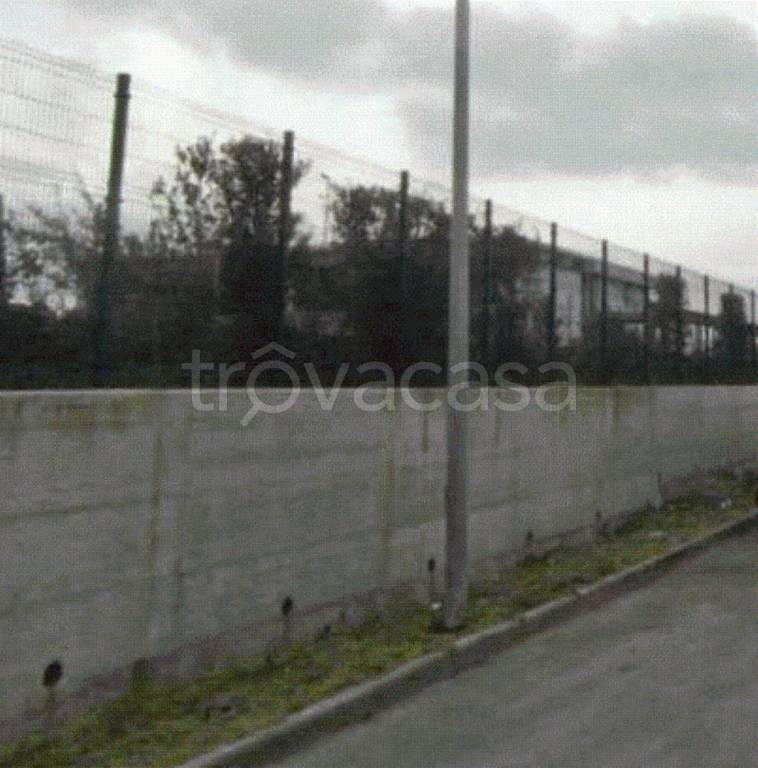 immagine annuncio 9 di 13