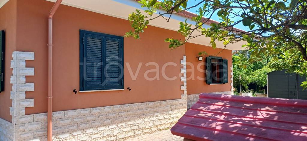 immagine annuncio 1 di 14