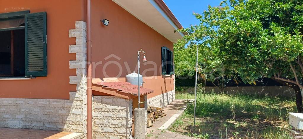 immagine annuncio 3 di 14