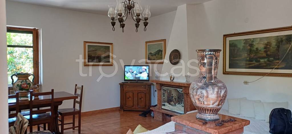 immagine annuncio 4 di 14