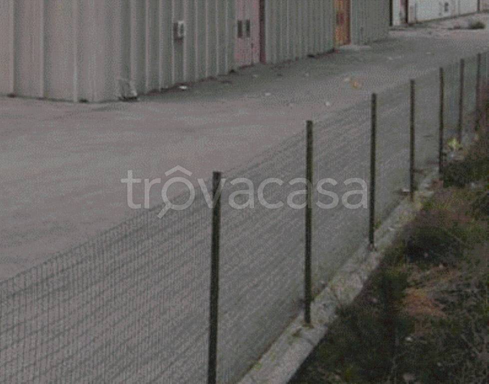 immagine annuncio 11 di 13