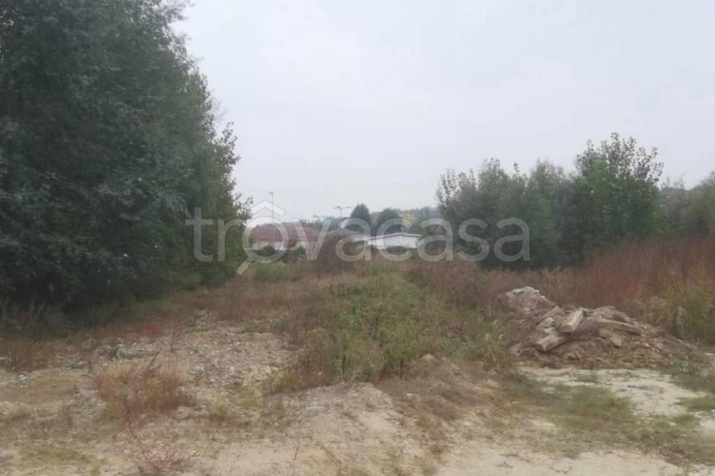 immagine annuncio 2 di 7