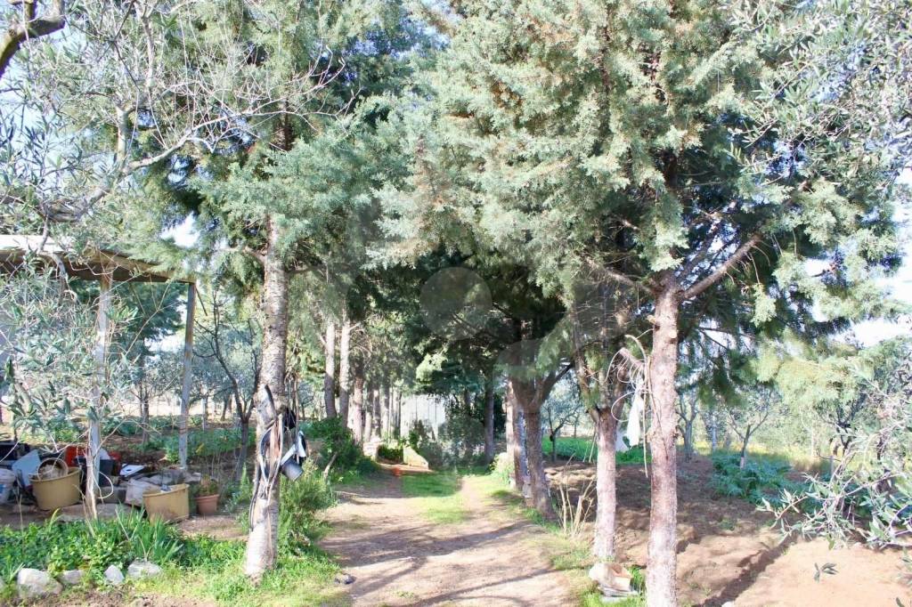 immagine annuncio 4 di 8