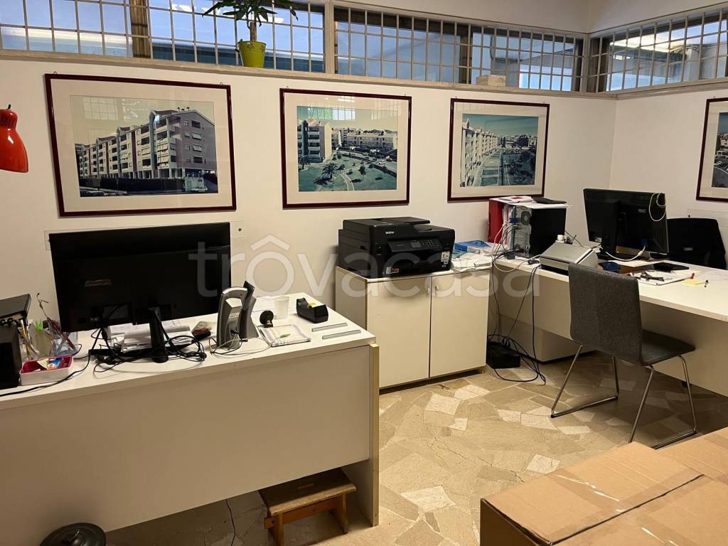 immagine annuncio 8 di 14