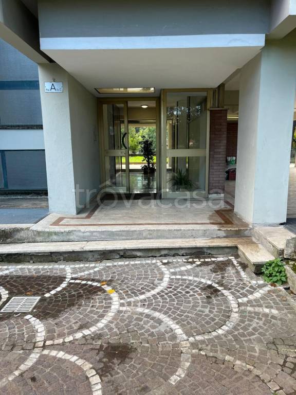 immagine annuncio 9 di 14