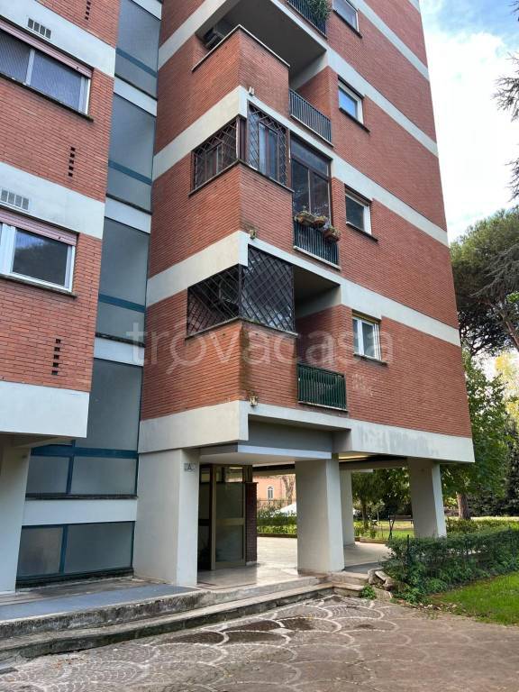 immagine annuncio 12 di 14