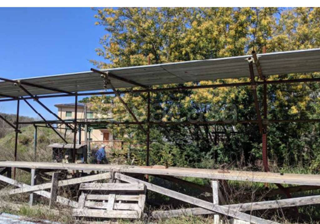 immagine annuncio 2 di 11