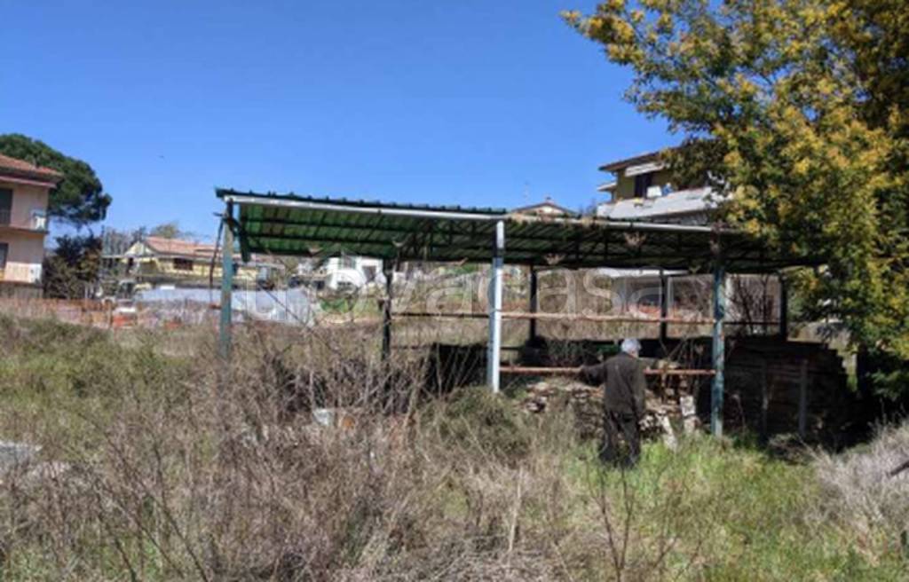 immagine annuncio 3 di 11