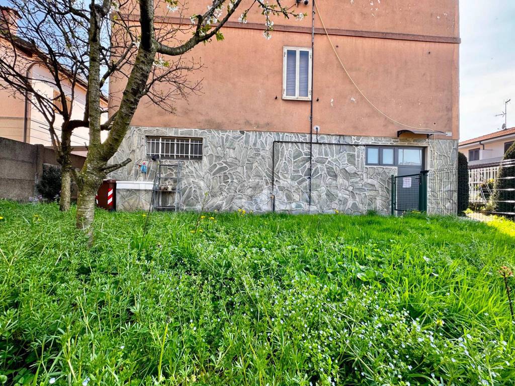 immagine annuncio 6 di 15