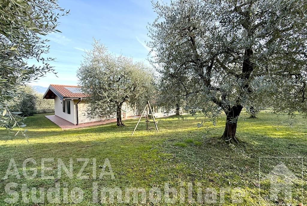 immagine annuncio 7 di 12