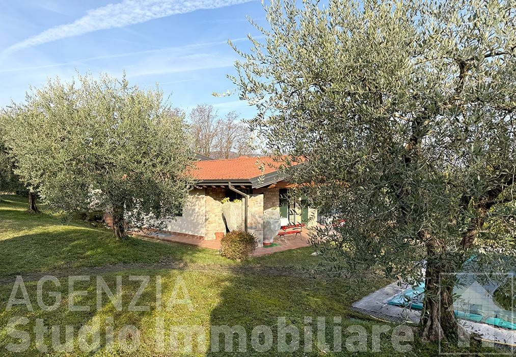 immagine annuncio 1 di 12