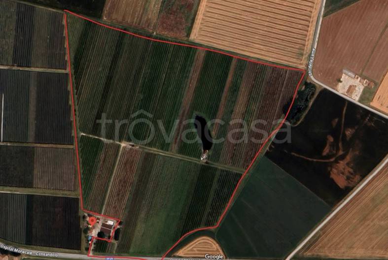 immagine annuncio 3 di 8