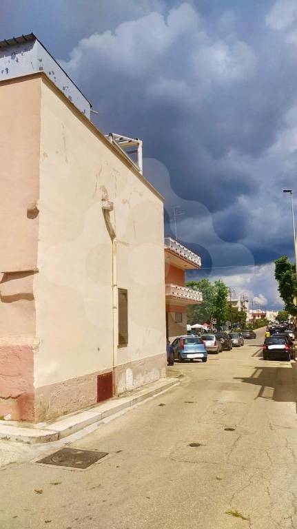 immagine annuncio 4 di 8