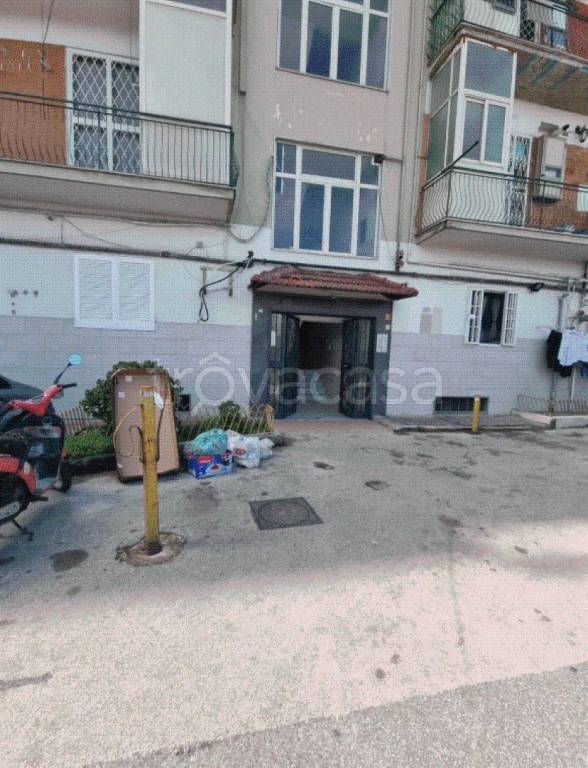 immagine annuncio 3 di 7