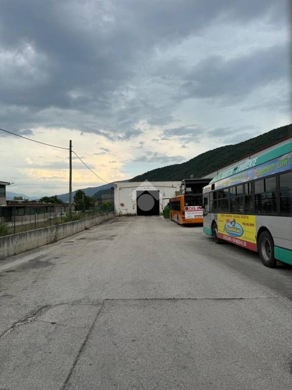 immagine annuncio 1 di 4