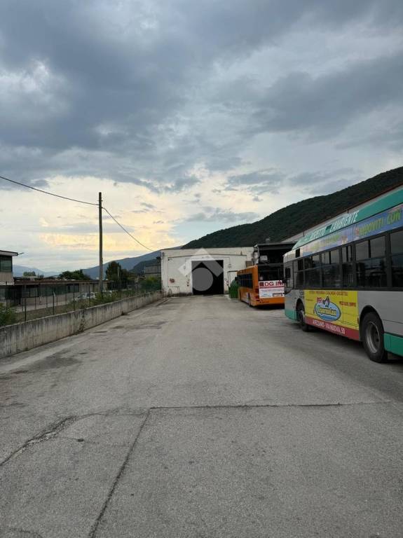 immagine annuncio 2 di 4