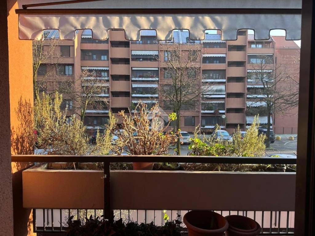 immagine annuncio 10 di 13