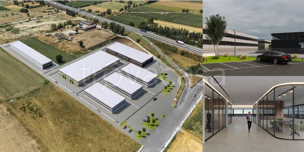 immagine annuncio 2 di 3