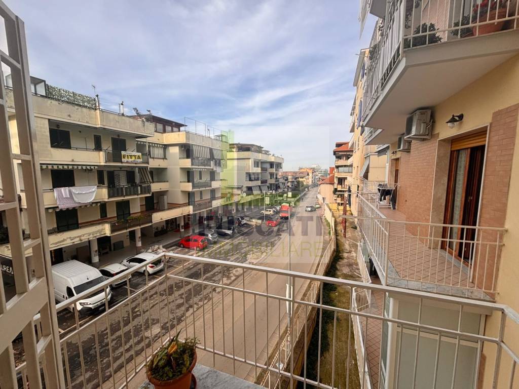 immagine annuncio 11 di 14