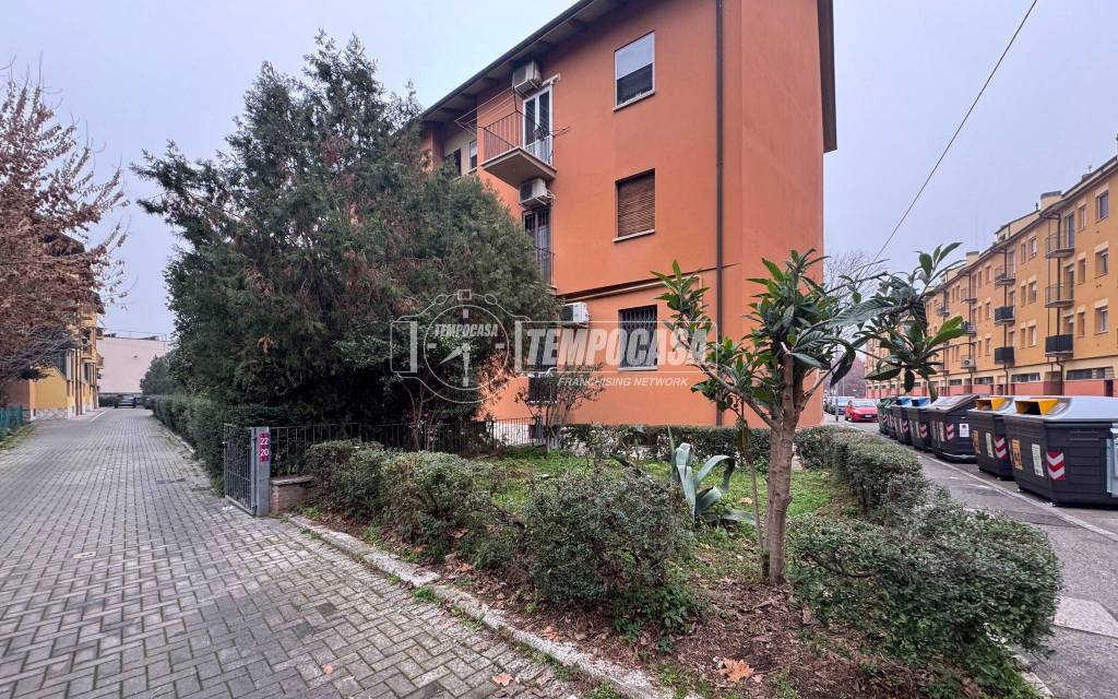 immagine annuncio 11 di 14