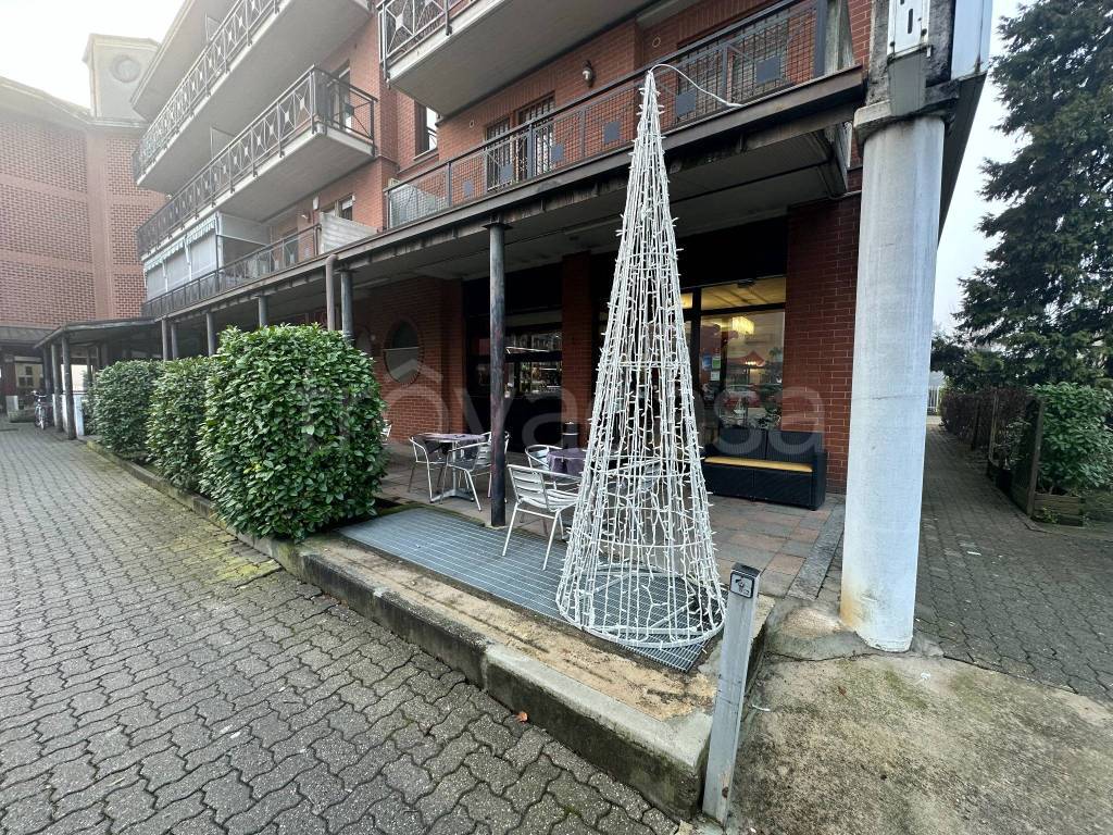 immagine annuncio 11 di 15