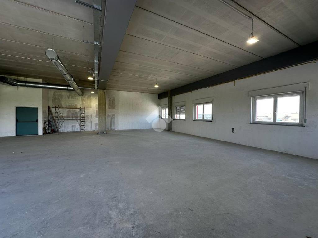 immagine annuncio 4 di 8