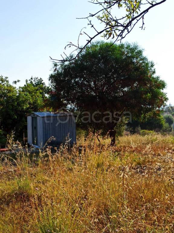 immagine annuncio 5 di 12