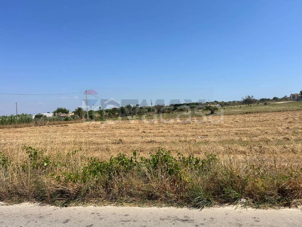 immagine annuncio 4 di 6