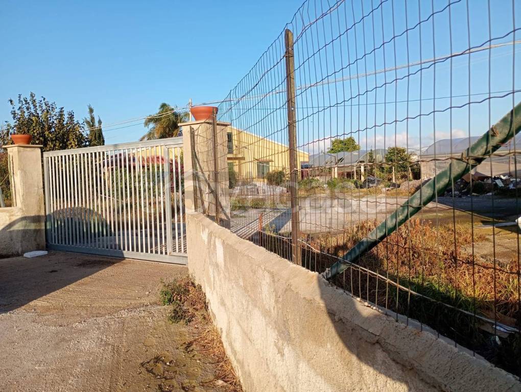 immagine annuncio 4 di 6