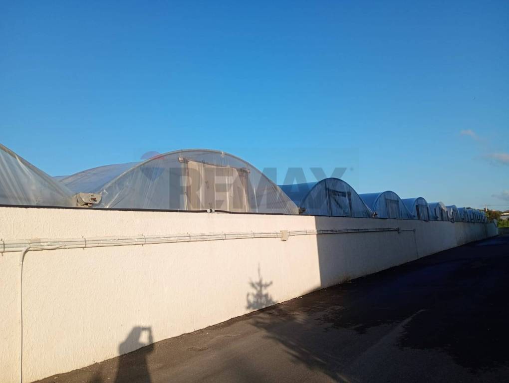 immagine annuncio 5 di 6