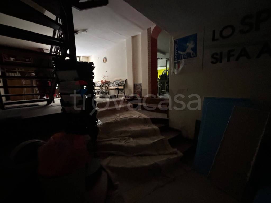 immagine annuncio 4 di 12