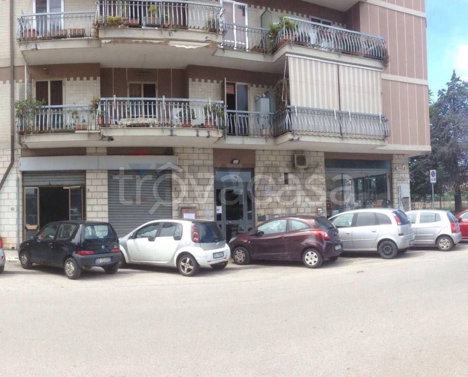 immagine annuncio 4 di 7