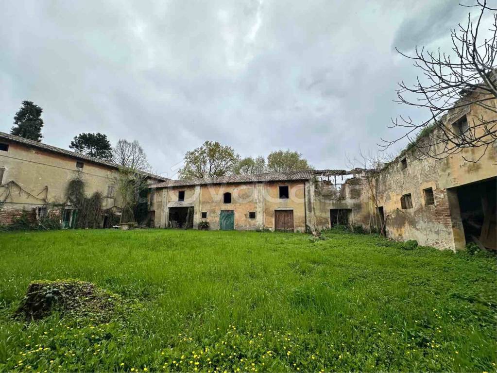 immagine annuncio 8 di 14