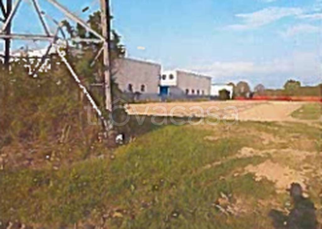 immagine annuncio 1 di 12