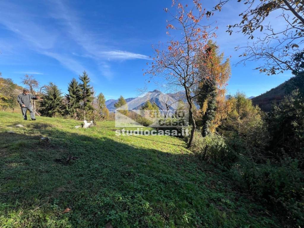 immagine annuncio 2 di 12