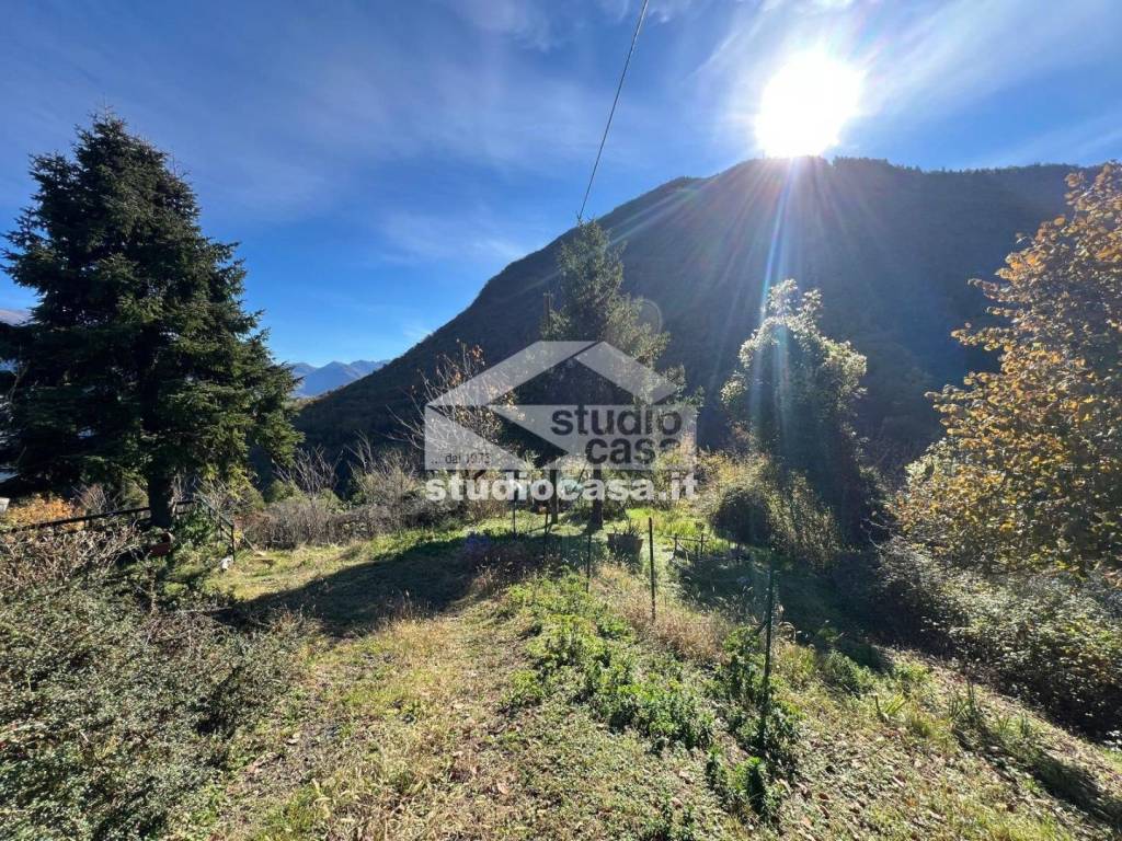 immagine annuncio 4 di 12