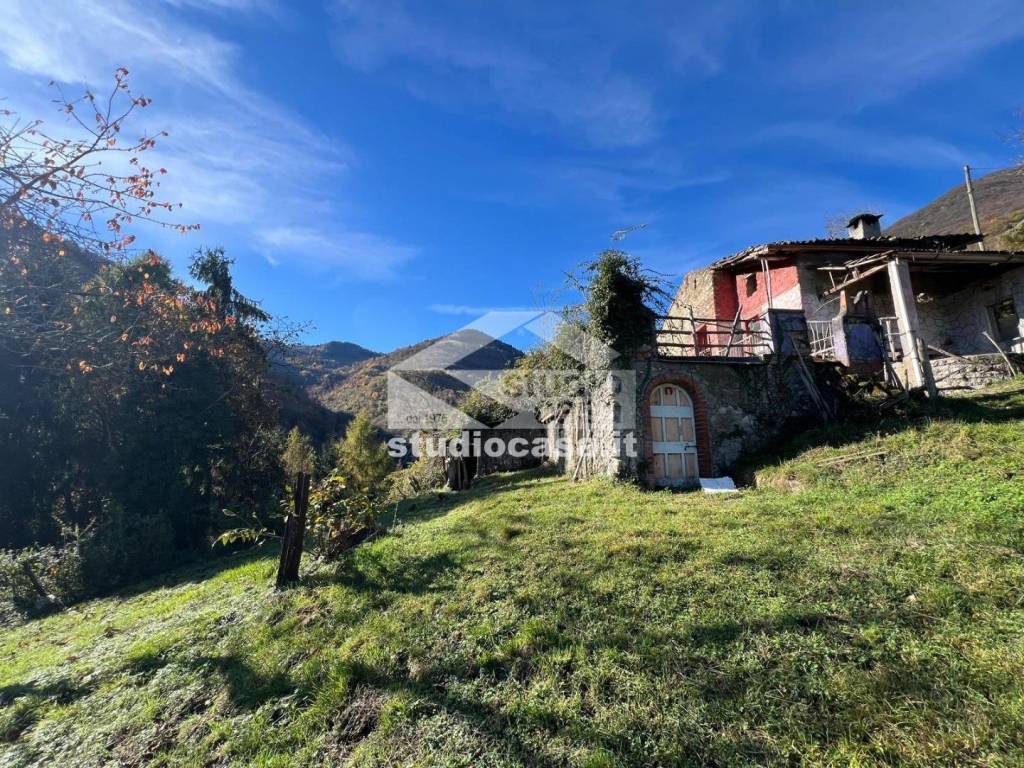 immagine annuncio 5 di 12