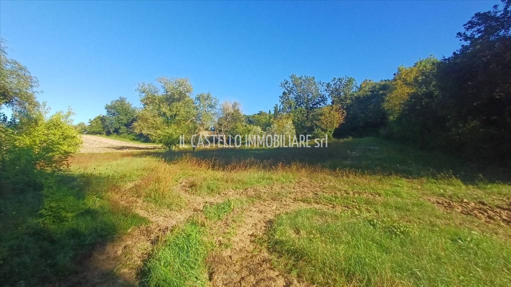 immagine annuncio 6 di 11