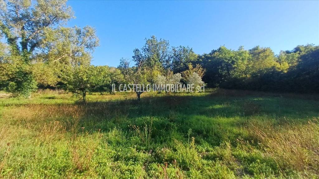 immagine annuncio 8 di 11