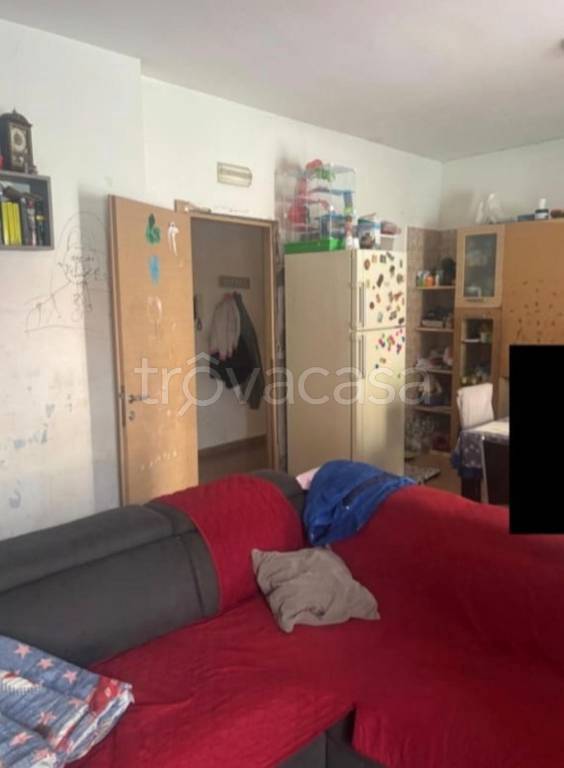 immagine annuncio 6 di 13