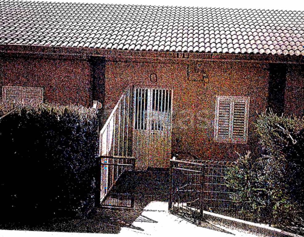 immagine annuncio 5 di 14