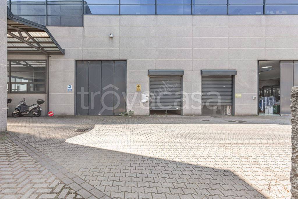 immagine annuncio 7 di 15