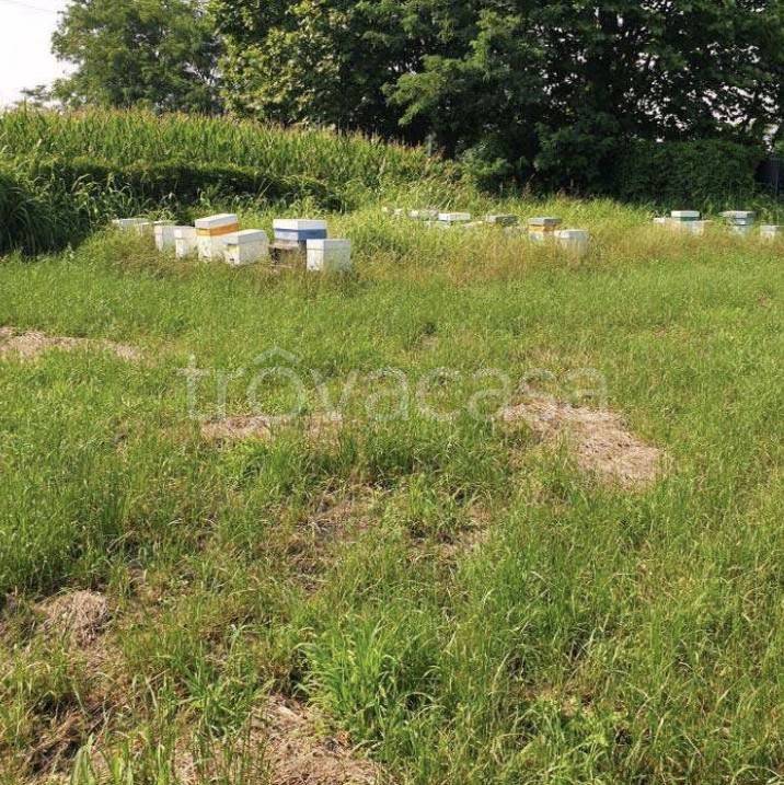 immagine annuncio 8 di 14