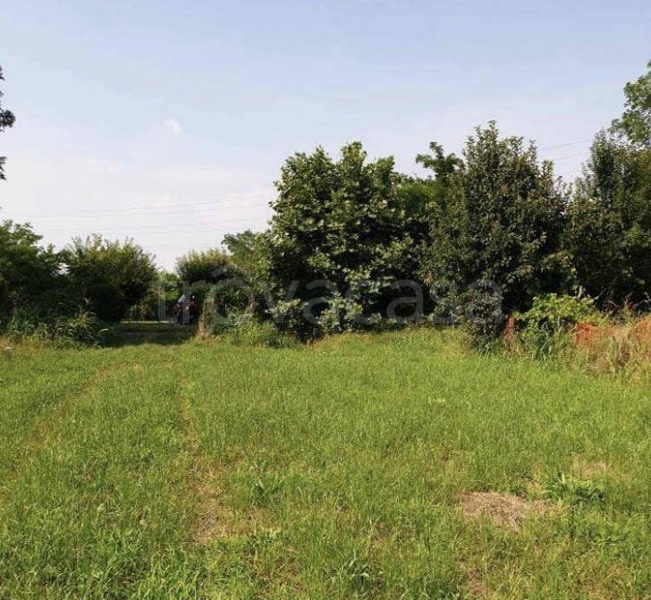 immagine annuncio 9 di 14