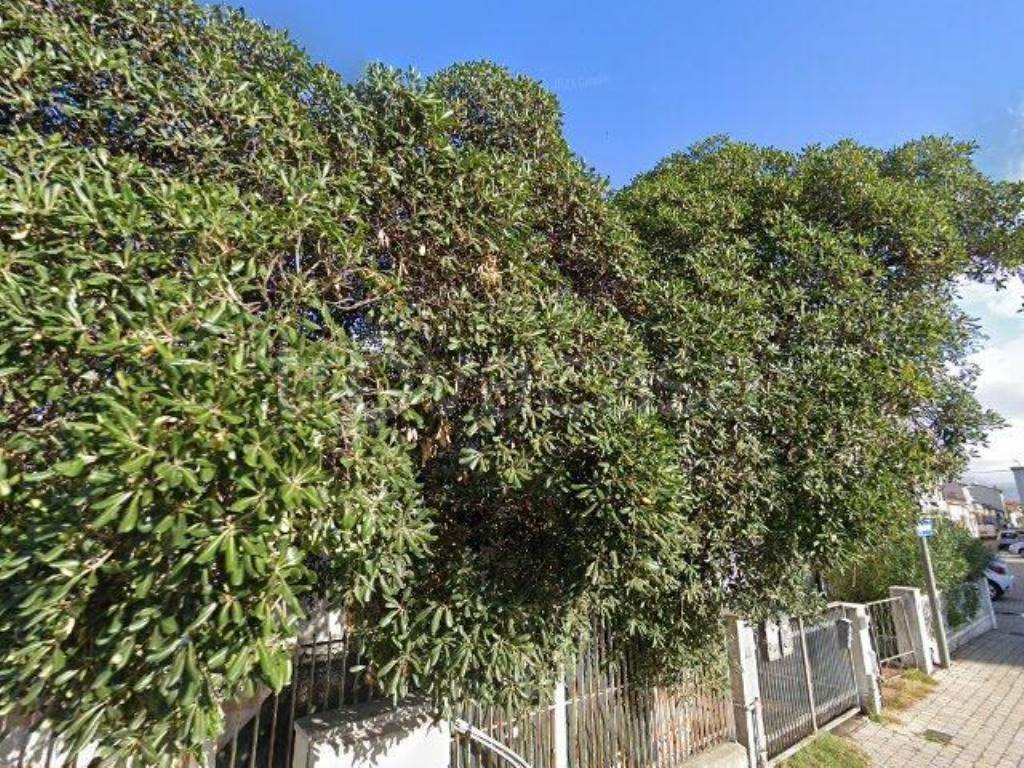 immagine annuncio 2 di 11