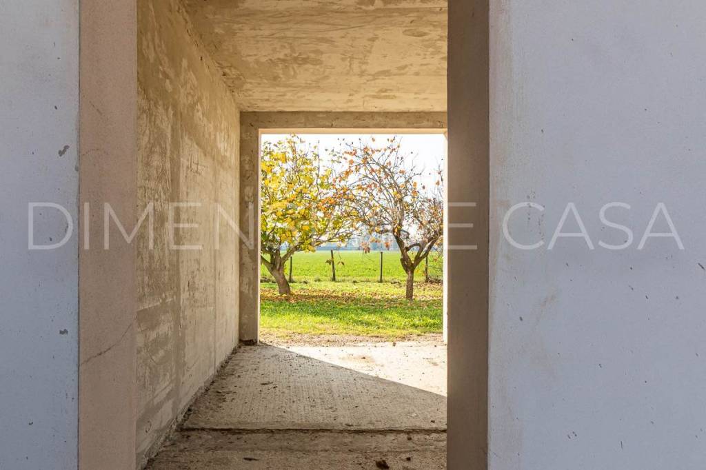 immagine annuncio 4 di 8