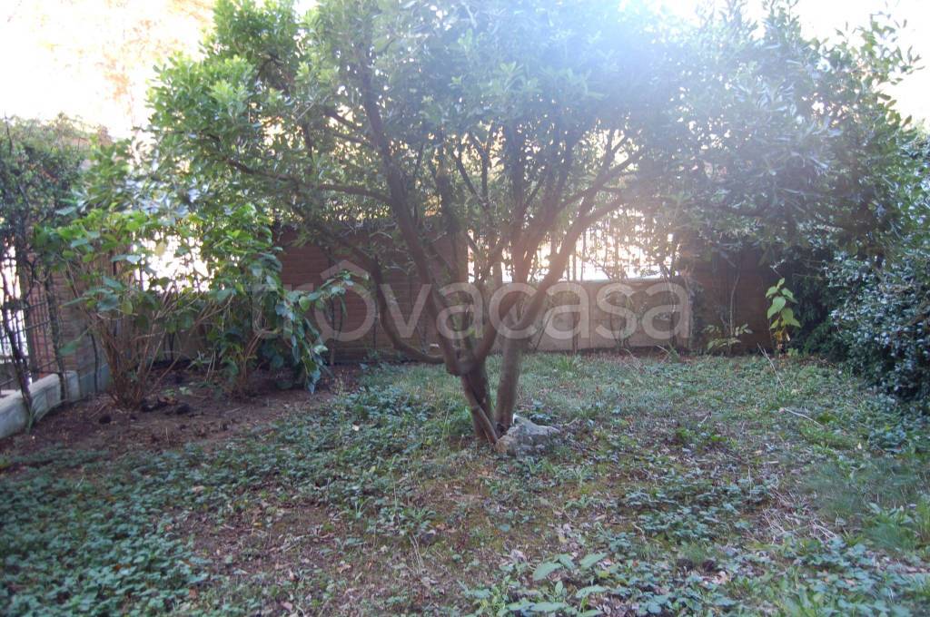 immagine annuncio 1 di 9