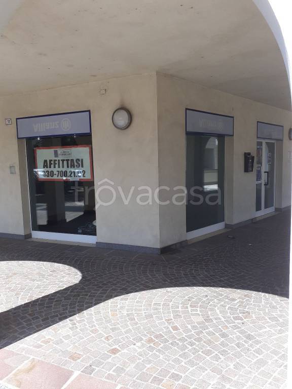 immagine annuncio 4 di 14