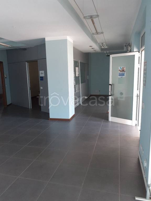 immagine annuncio 6 di 14