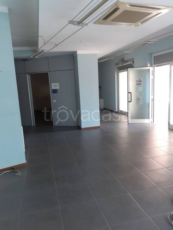 immagine annuncio 7 di 14